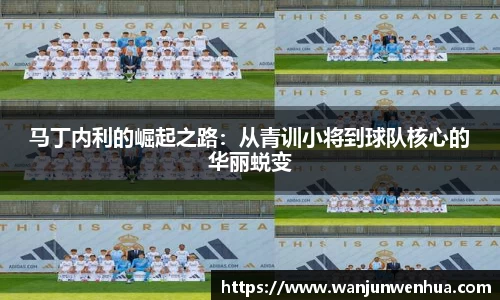 马丁内利的崛起之路：从青训小将到球队核心的华丽蜕变