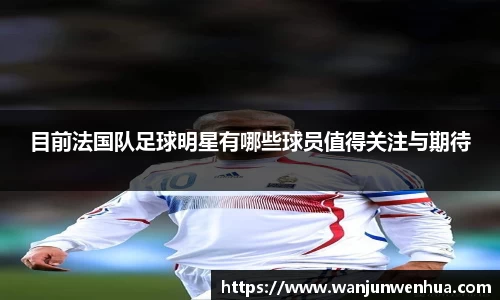 目前法国队足球明星有哪些球员值得关注与期待
